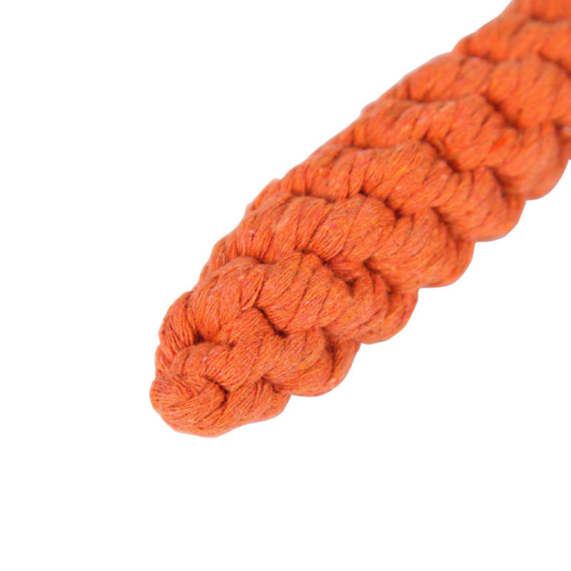 Durable Carrot Shaped Pet Chew Toy